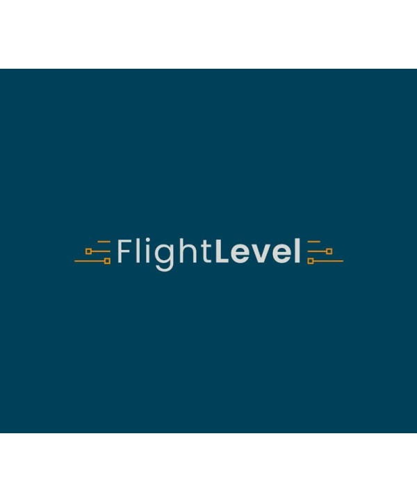 Flight Level Steam Key GLOBAL